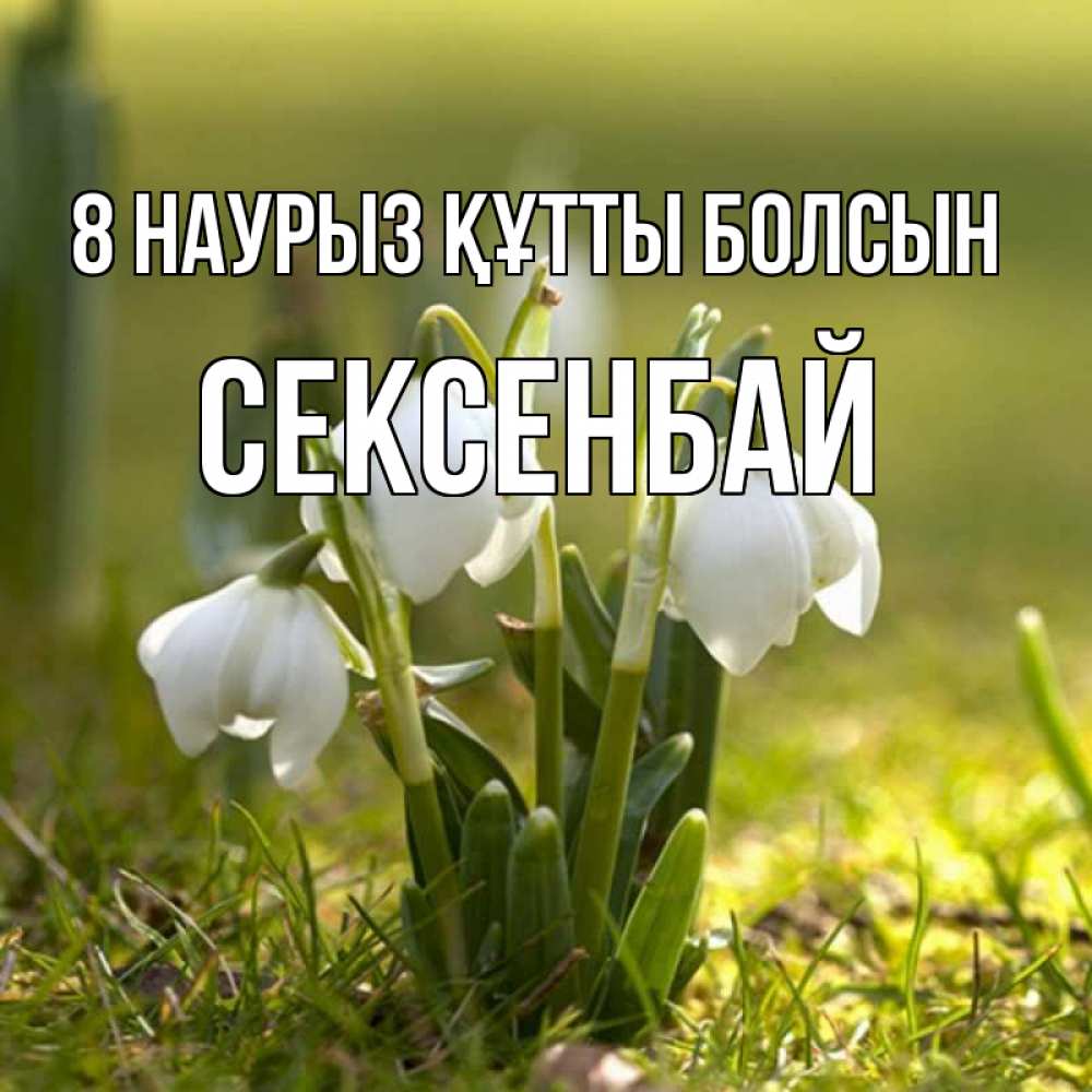 Күн сайын ашық хат с именем, СЕКСЕНБАЙ 8 наурыз құтты болсын ранние цветы 2 Онлайн тегін жүктеп алу тілектері бар керемет карта 
