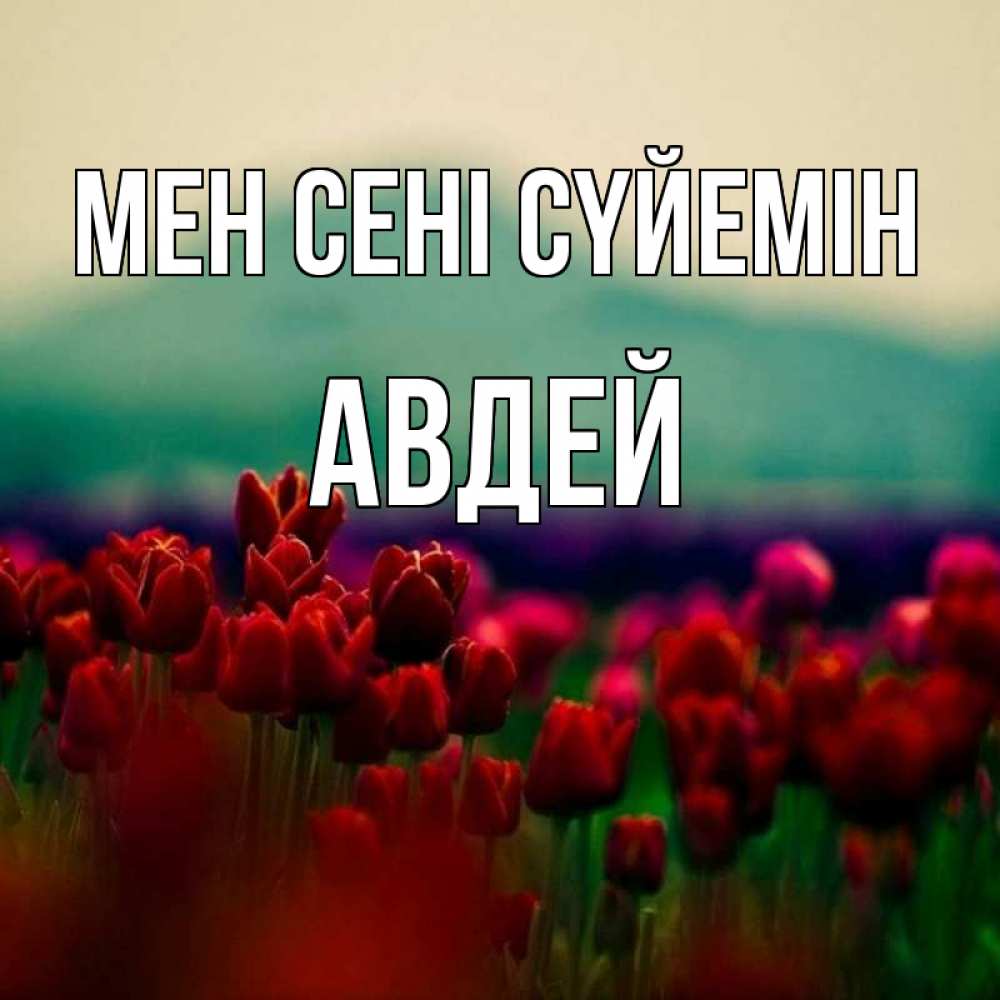 Күн сайын ашық хат с именем, Авдей Мен сені сүйемін тюльпаны 4 Онлайн тегін жүктеп алу тілектері бар керемет карта 