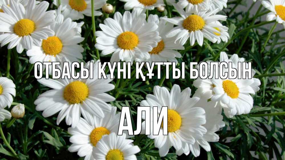 Күн сайын ашық хат с именем, Али отбасы күні құтты болсын с днем семьи Онлайн тегін жүктеп алу тілектері бар керемет карта 