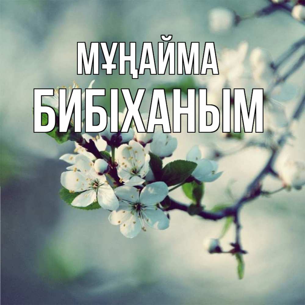 Күн сайын ашық хат с именем, БИБІХАНЫМ Мұңайма яблоня в цвету 1 Онлайн тегін жүктеп алу тілектері бар керемет карта 