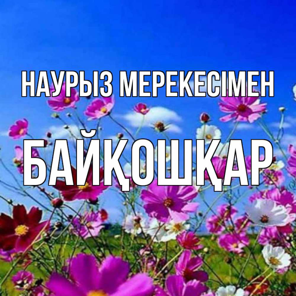 Күн сайын ашық хат с именем, Байқошқар Наурыз мерекесімен цветы Онлайн тегін жүктеп алу тілектері бар керемет карта 