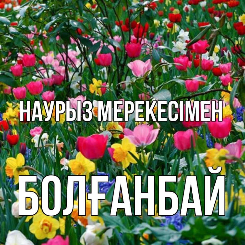 Күн сайын ашық хат с именем, Болғанбай Наурыз мерекесімен с наурызом праздником весны поздравления для женщины Онлайн тегін жүктеп алу тілектері бар керемет карта 