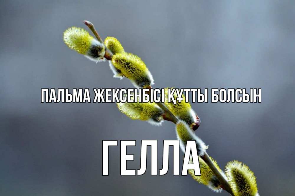 Күн сайын ашық хат с именем, Гелла Пальма жексенбісі құтты болсын верба Онлайн тегін жүктеп алу тілектері бар керемет карта 