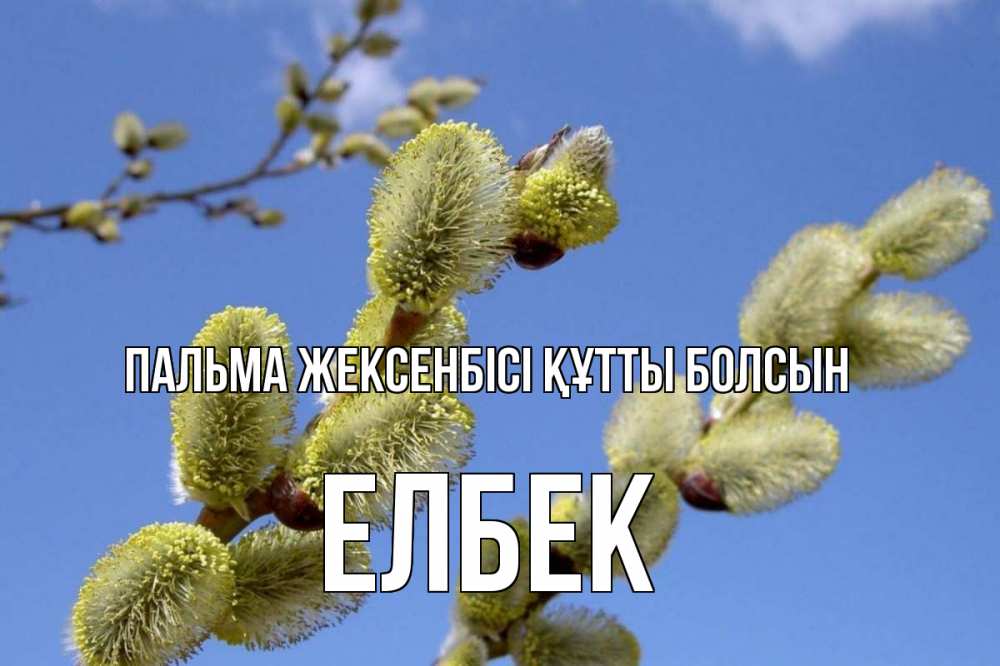 Күн сайын ашық хат с именем, Елбек Пальма жексенбісі құтты болсын верба Онлайн тегін жүктеп алу тілектері бар керемет карта 