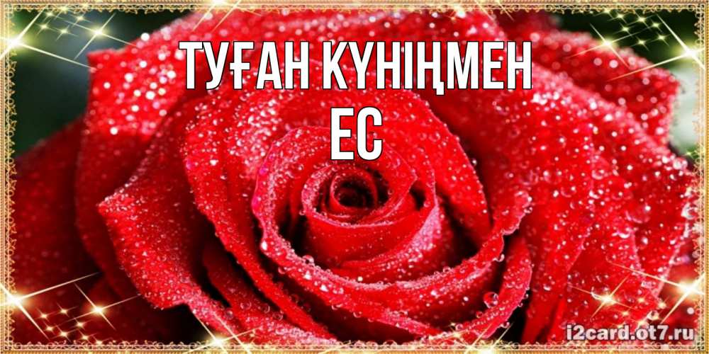 Күн сайын ашық хат с именем, Ес Туған күніңмен роса и роза. открытка с красивой розой Онлайн тегін жүктеп алу тілектері бар керемет карта 