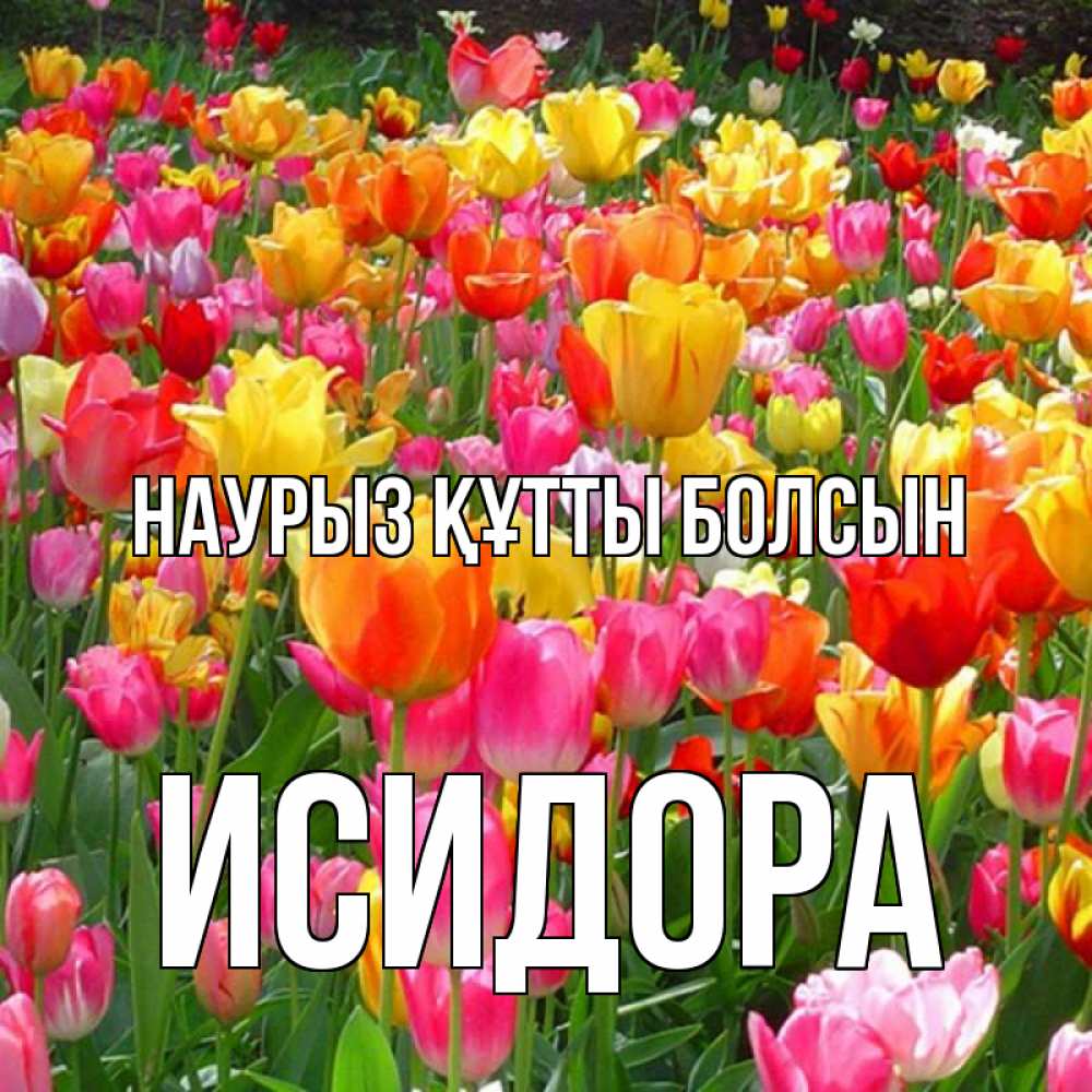 Күн сайын ашық хат с именем, Исидора Наурыз құтты болсын на наурыз  ура ура Онлайн тегін жүктеп алу тілектері бар керемет карта 