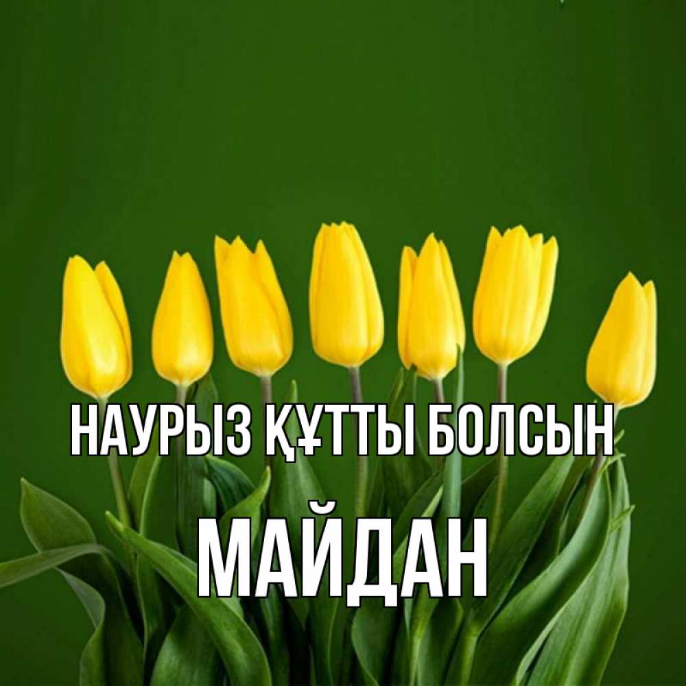 Күн сайын ашық хат с именем, МАЙДАН Наурыз құтты болсын желтого цвета 3 Онлайн тегін жүктеп алу тілектері бар керемет карта 