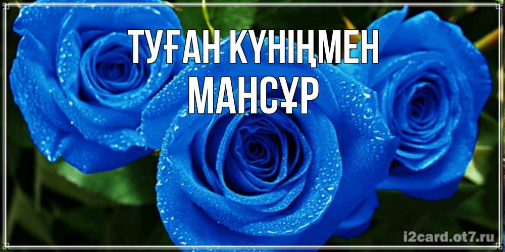 Күн сайын ашық хат с именем, МАНСҰР Туған күніңмен розы с синим цветом Онлайн тегін жүктеп алу тілектері бар керемет карта 