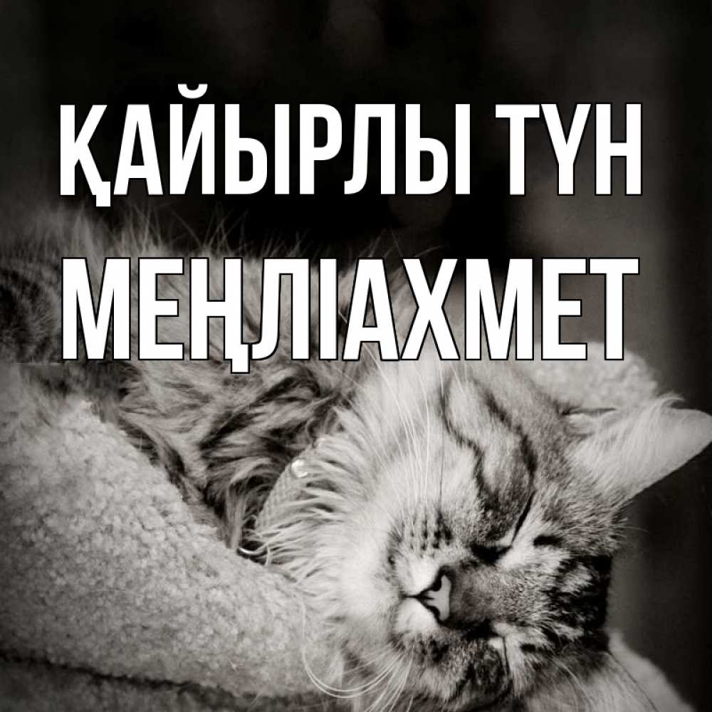 Күн сайын ашық хат с именем, МЕҢЛІАХМЕТ Қайырлы түн котярик пушистый Онлайн тегін жүктеп алу тілектері бар керемет карта 