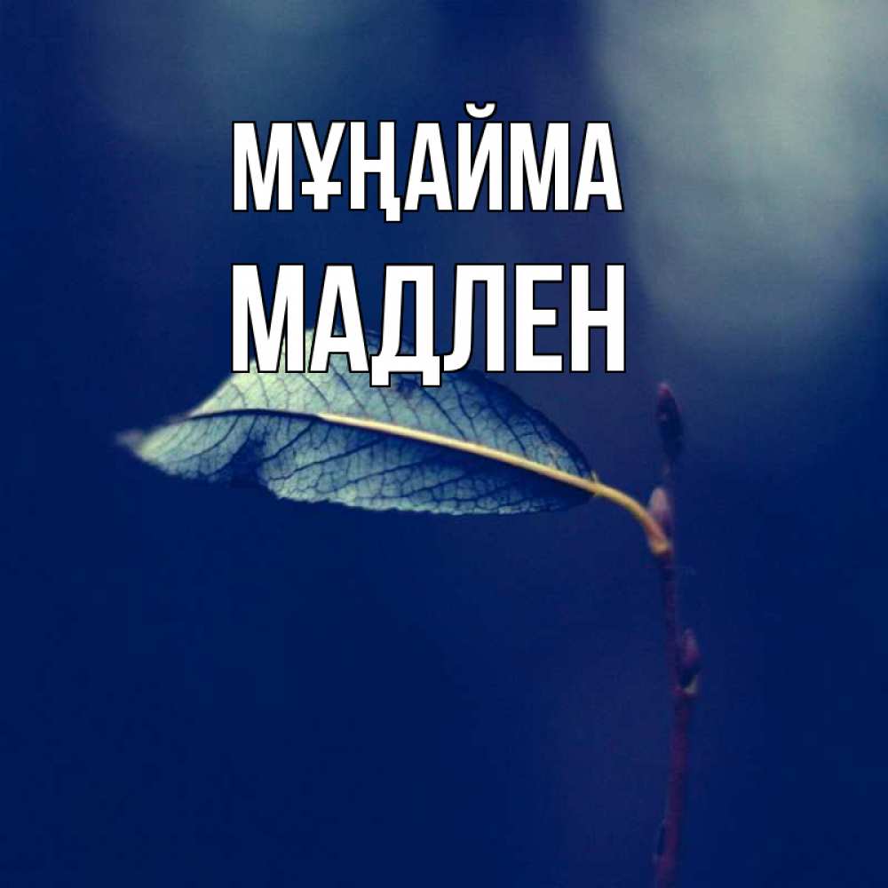 Күн сайын ашық хат с именем, Мадлен Мұңайма растение Онлайн тегін жүктеп алу тілектері бар керемет карта 