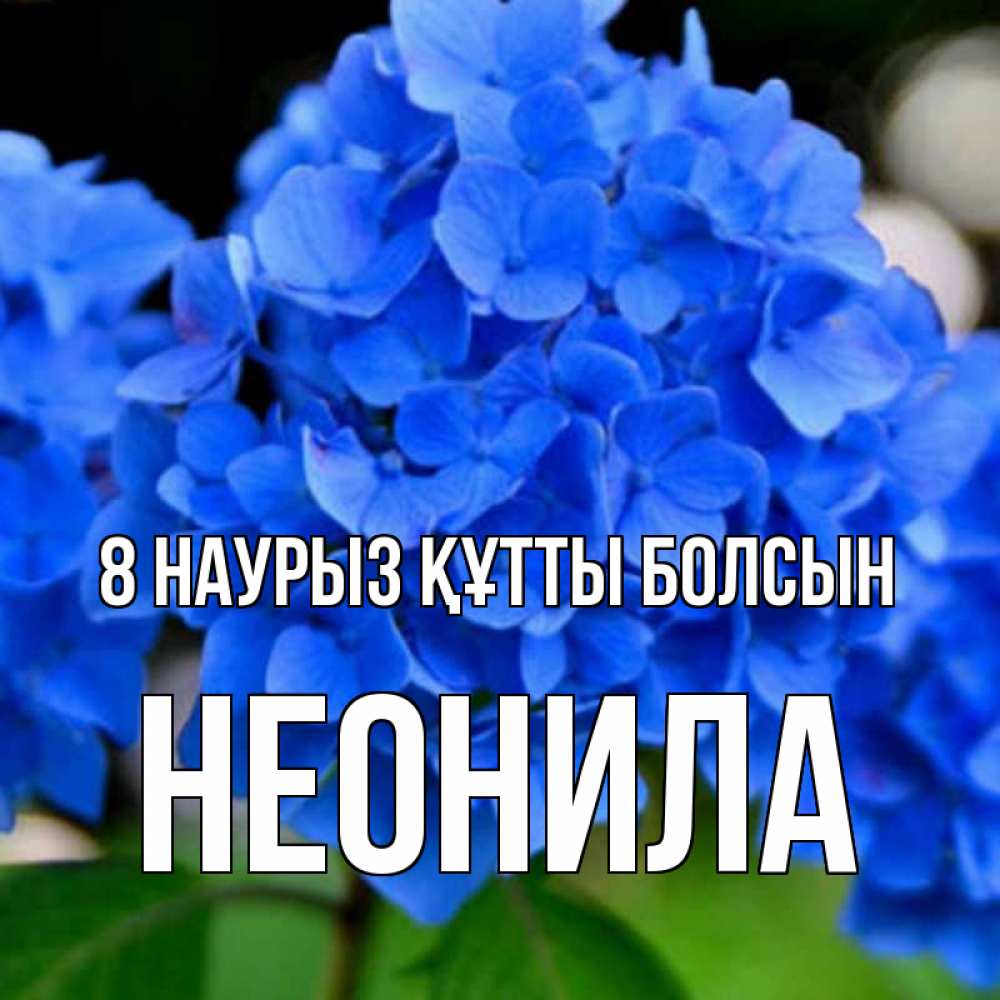 Күн сайын ашық хат с именем, Неонила 8 наурыз құтты болсын синие цветы Онлайн тегін жүктеп алу тілектері бар керемет карта 