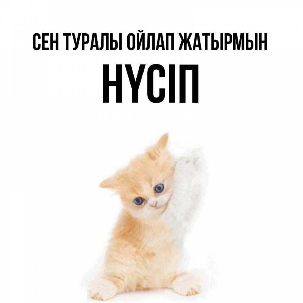 Күн сайын ашық хат с именем, НҮСІП Сен туралы ойлап жатырмын зверушки и милота Онлайн тегін жүктеп алу тілектері бар керемет карта 