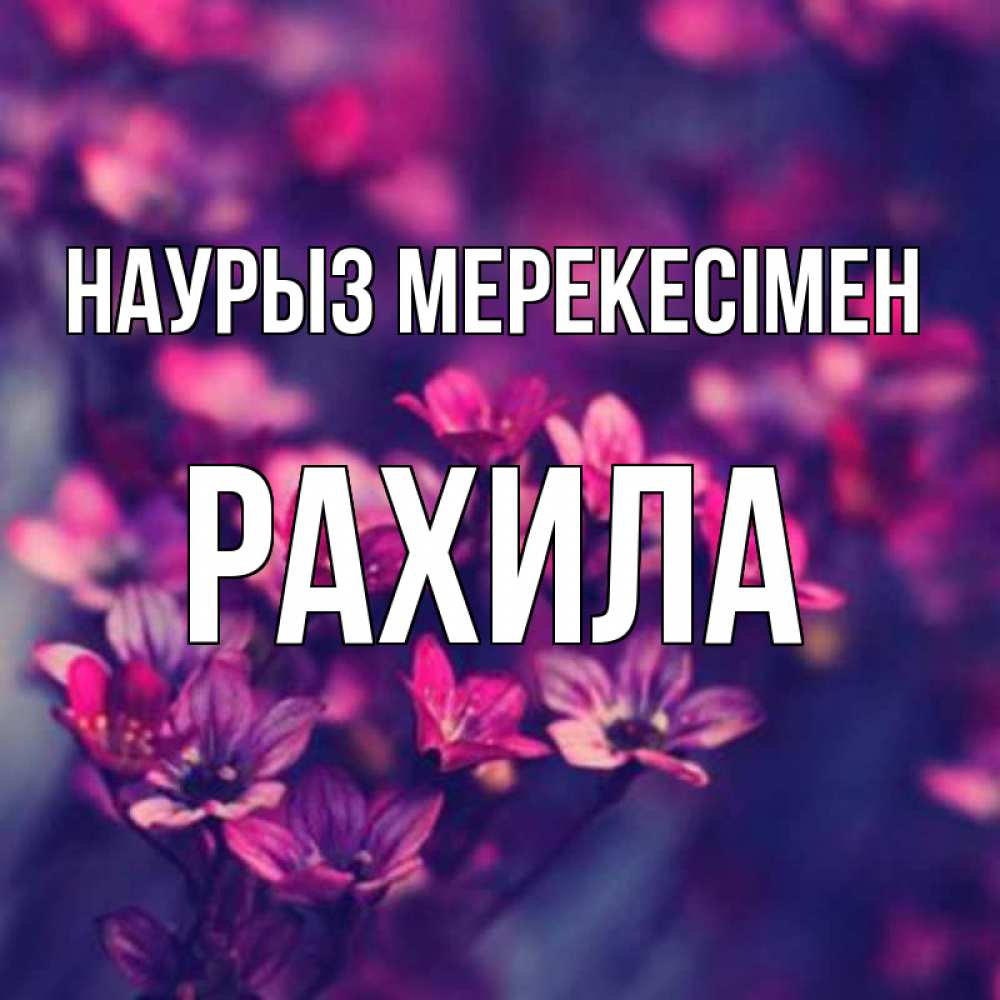 Күн сайын ашық хат с именем, РАХИЛА Наурыз мерекесімен небольшие цветы 1 Онлайн тегін жүктеп алу тілектері бар керемет карта 