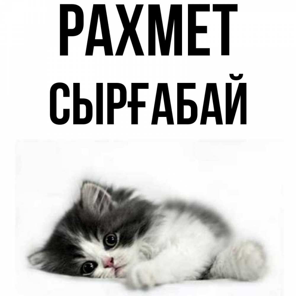 Күн сайын ашық хат с именем, СЫРҒАБАЙ рахмет черный и белый кот Онлайн тегін жүктеп алу тілектері бар керемет карта 