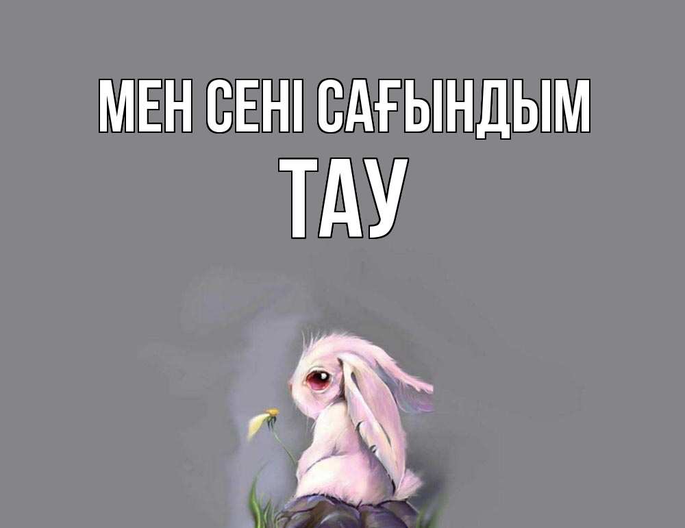 Күн сайын ашық хат с именем, ТАУ Мен сені сағындым заяц Онлайн тегін жүктеп алу тілектері бар керемет карта 