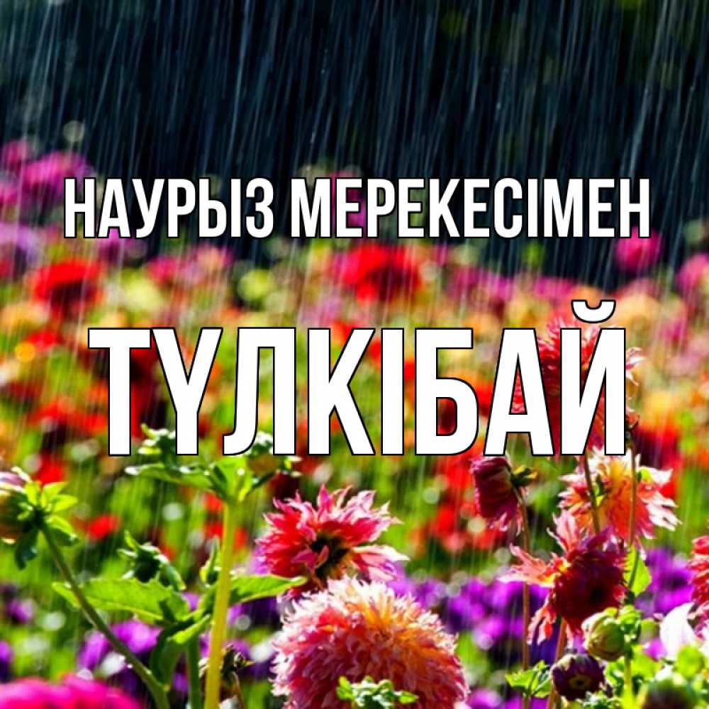 Күн сайын ашық хат с именем, ТҮЛКІБАЙ Наурыз мерекесімен цветы под дождиком к международному женскому дню Онлайн тегін жүктеп алу тілектері бар керемет карта 