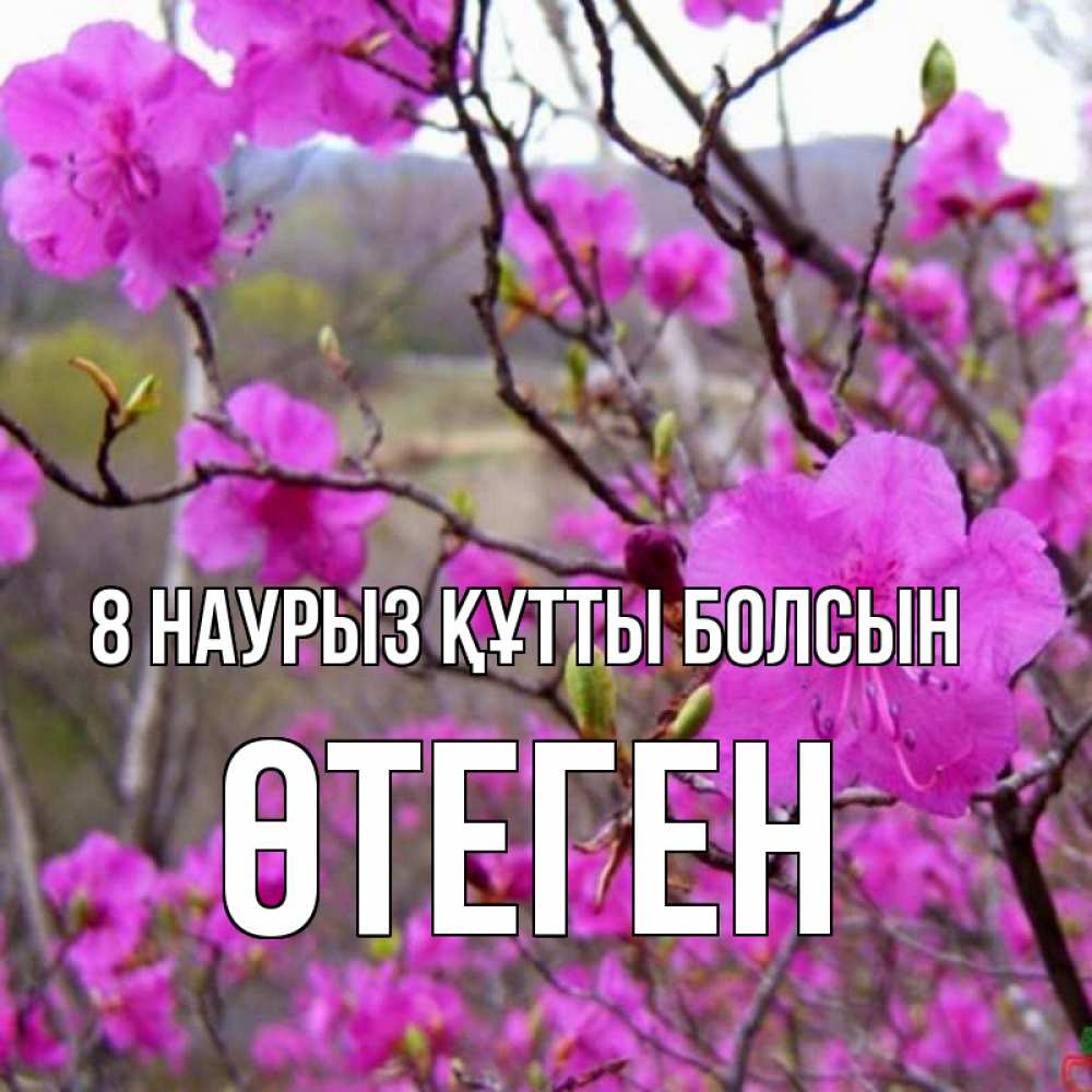 Күн сайын ашық хат с именем, ӨТЕГЕН 8 наурыз құтты болсын международный женский день Онлайн тегін жүктеп алу тілектері бар керемет карта 