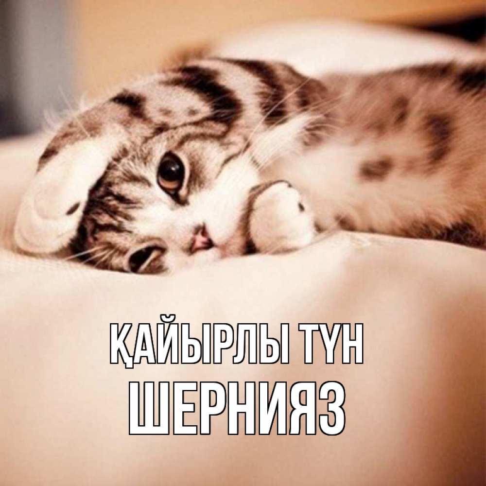 Күн сайын ашық хат с именем, ШЕРНИЯЗ Қайырлы түн сладких снов с животными Онлайн тегін жүктеп алу тілектері бар керемет карта 