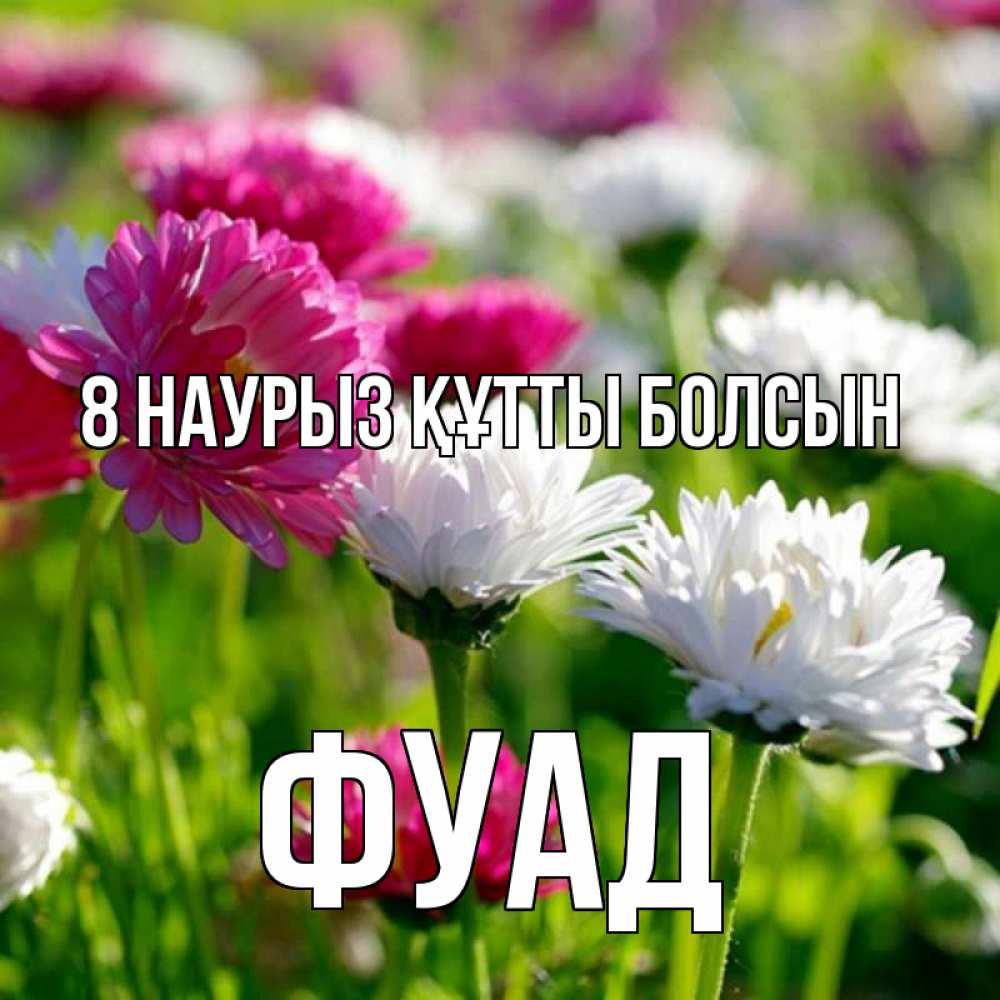 Күн сайын ашық хат с именем, Фуад 8 наурыз құтты болсын международный женский день 1 Онлайн тегін жүктеп алу тілектері бар керемет карта 
