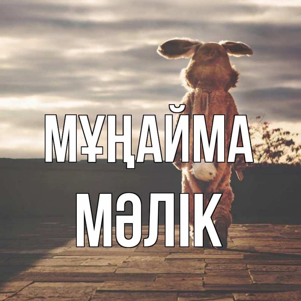Күн сайын ашық хат с именем, МӘЛІК Мұңайма со спины Онлайн тегін жүктеп алу тілектері бар керемет карта 