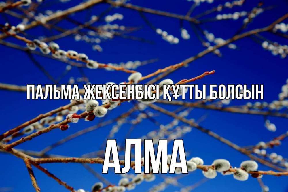 Күн сайын ашық хат с именем, АЛМА Пальма жексенбісі құтты болсын верба Онлайн тегін жүктеп алу тілектері бар керемет карта 