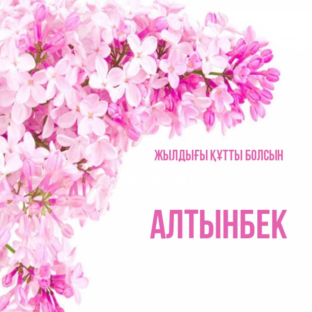 Күн сайын ашық хат с именем, Алтынбек Жылдығы құтты болсын Сирень на белом фоне Онлайн тегін жүктеп алу тілектері бар керемет карта 