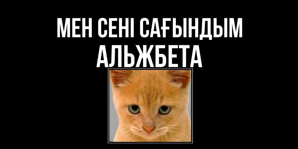 Күн сайын ашық хат с именем, Альжбета Мен сені сағындым открытки рыжий котенок скучает по тебе Онлайн тегін жүктеп алу тілектері бар керемет карта 