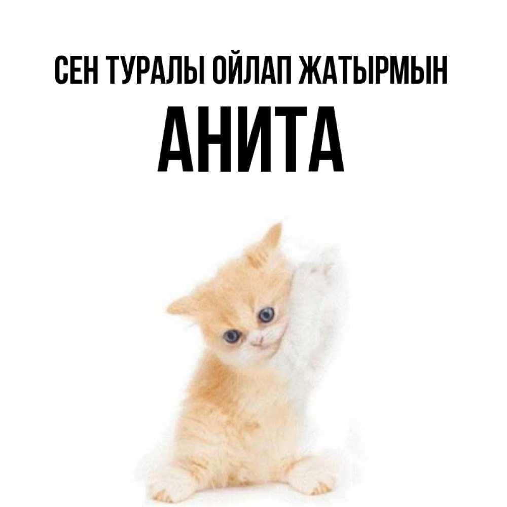 Күн сайын ашық хат с именем, Анита Сен туралы ойлап жатырмын зверушки и милота Онлайн тегін жүктеп алу тілектері бар керемет карта 