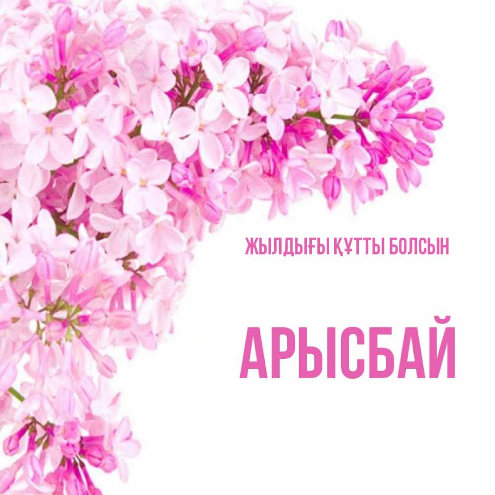 Күн сайын ашық хат с именем, Арысбай Жылдығы құтты болсын Сирень на белом фоне Онлайн тегін жүктеп алу тілектері бар керемет карта 