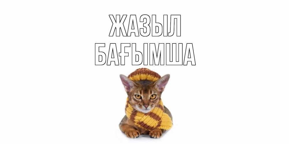 Күн сайын ашық хат с именем, БАҒЫМША Жазыл родные не болейте Онлайн тегін жүктеп алу тілектері бар керемет карта 