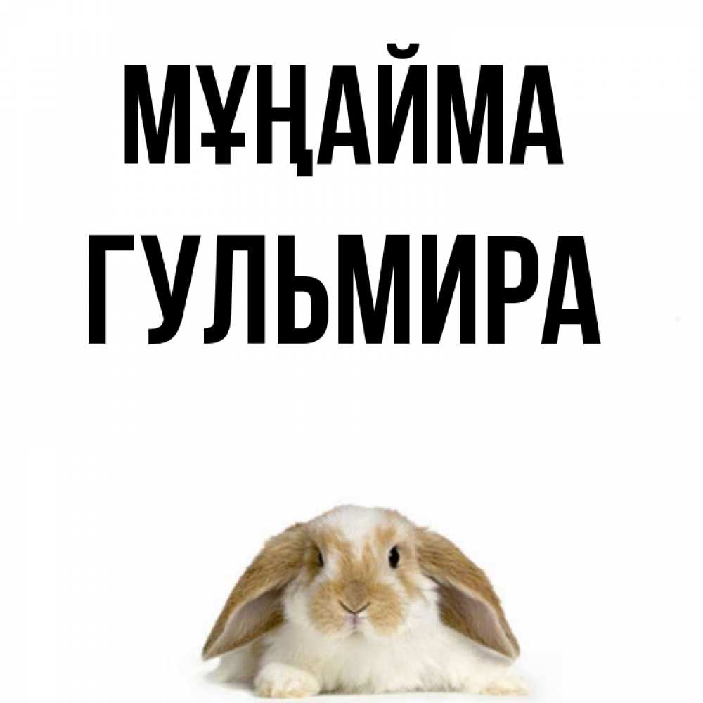 Күн сайын ашық хат с именем, Гульмира Мұңайма коричнево белый заяц с большими ушками Онлайн тегін жүктеп алу тілектері бар керемет карта 