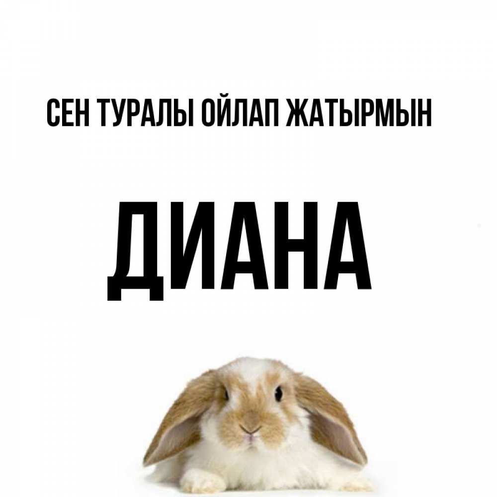 Күн сайын ашық хат с именем, Диана Сен туралы ойлап жатырмын подписать своими руками онлайн Онлайн тегін жүктеп алу тілектері бар керемет карта 