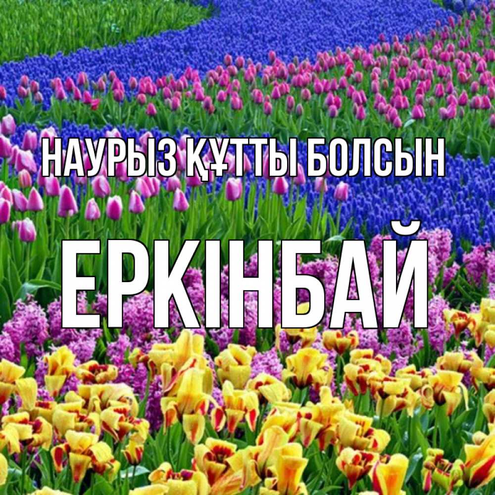 Күн сайын ашық хат с именем, Еркінбай Наурыз құтты болсын цветы Онлайн тегін жүктеп алу тілектері бар керемет карта 