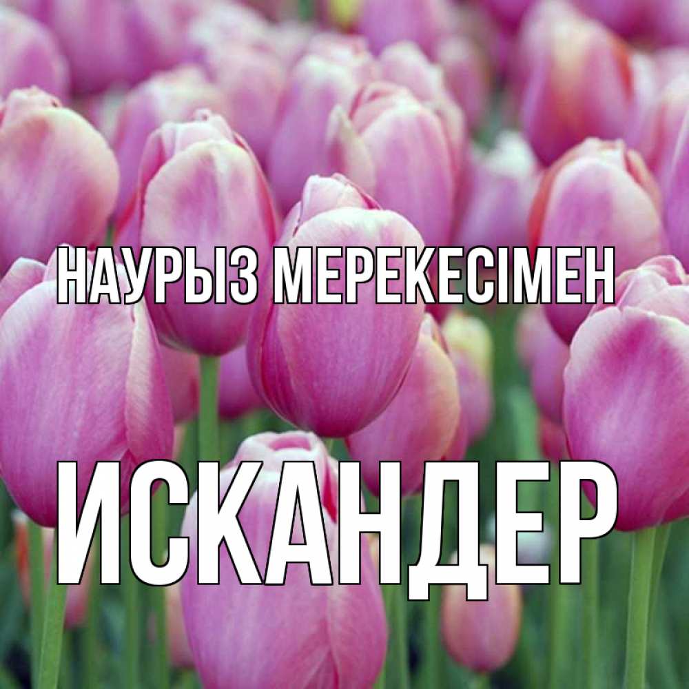 Күн сайын ашық хат с именем, Искандер Наурыз мерекесімен праздник весны наурыз 69 Онлайн тегін жүктеп алу тілектері бар керемет карта 