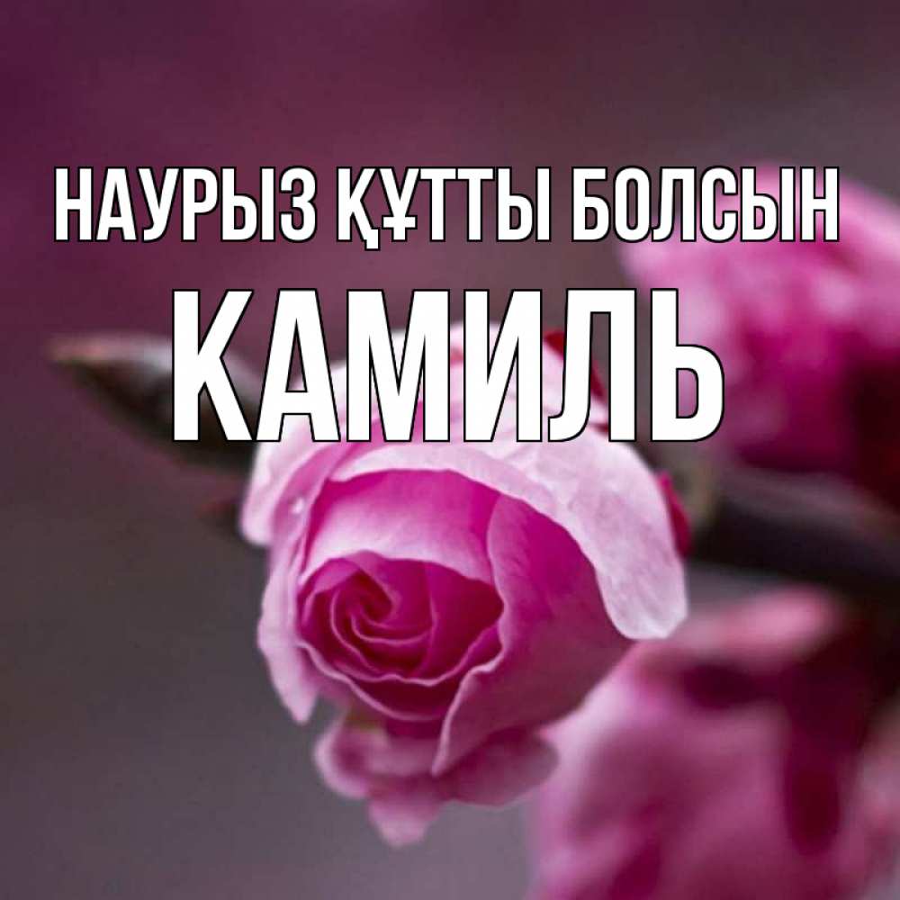 Күн сайын ашық хат с именем, Камиль Наурыз құтты болсын весна Онлайн тегін жүктеп алу тілектері бар керемет карта 