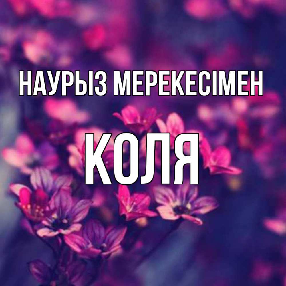 Күн сайын ашық хат с именем, Коля Наурыз мерекесімен небольшие цветы 1 Онлайн тегін жүктеп алу тілектері бар керемет карта 