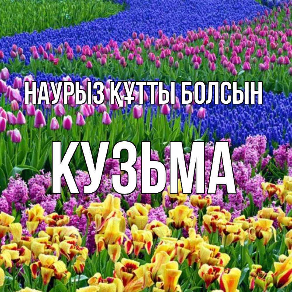 Күн сайын ашық хат с именем, Кузьма Наурыз құтты болсын цветы Онлайн тегін жүктеп алу тілектері бар керемет карта 
