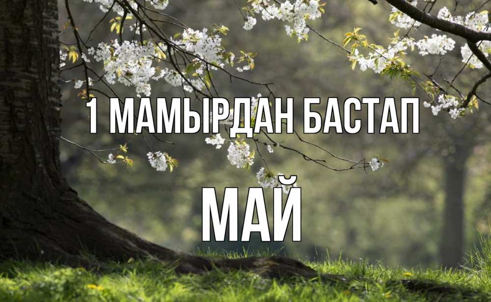 Күн сайын ашық хат с именем, Май 1 мамырдан бастап С 1 мая Онлайн тегін жүктеп алу тілектері бар керемет карта 