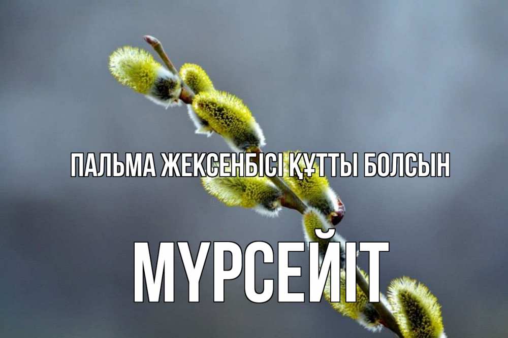 Күн сайын ашық хат с именем, МҮРСЕЙІТ Пальма жексенбісі құтты болсын верба Онлайн тегін жүктеп алу тілектері бар керемет карта 
