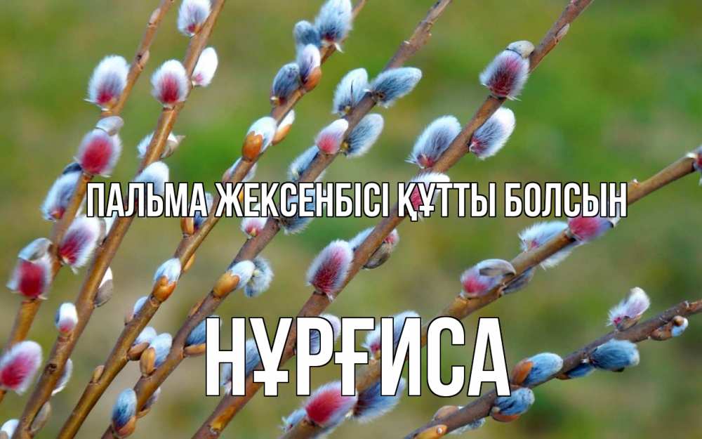 Күн сайын ашық хат с именем, НҰРҒИСА Пальма жексенбісі құтты болсын верба Онлайн тегін жүктеп алу тілектері бар керемет карта 