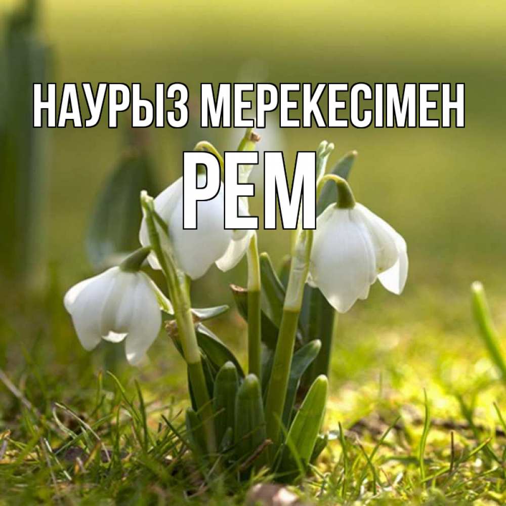 Күн сайын ашық хат с именем, Рем Наурыз мерекесімен ранние цветы 2 Онлайн тегін жүктеп алу тілектері бар керемет карта 