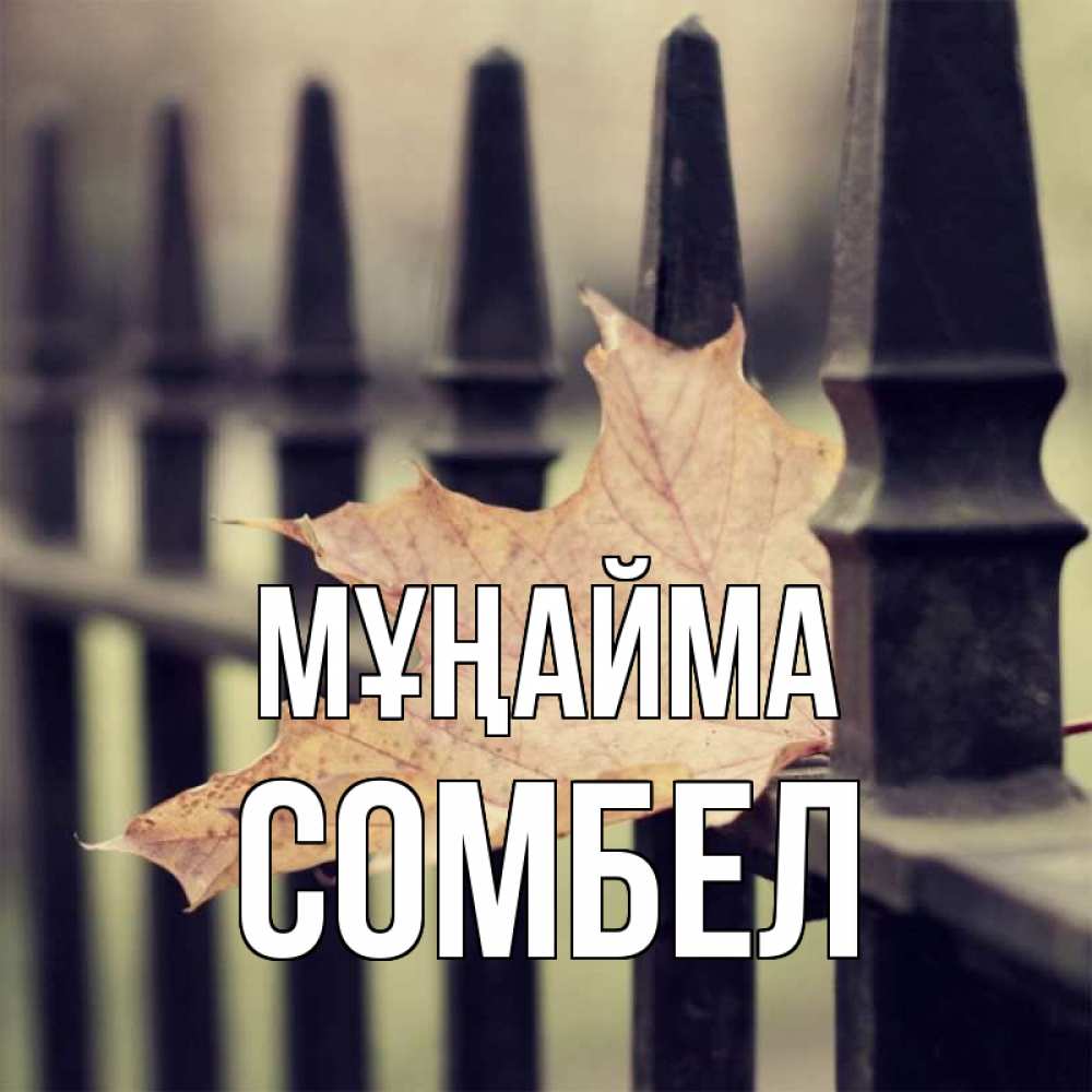 Күн сайын ашық хат с именем, СОМБЕЛ Мұңайма лист клена Онлайн тегін жүктеп алу тілектері бар керемет карта 