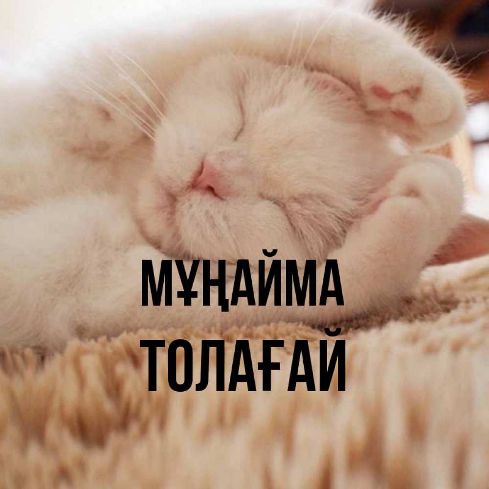 Күн сайын ашық хат с именем, ТОЛАҒАЙ Мұңайма Котенок спит Онлайн тегін жүктеп алу тілектері бар керемет карта 