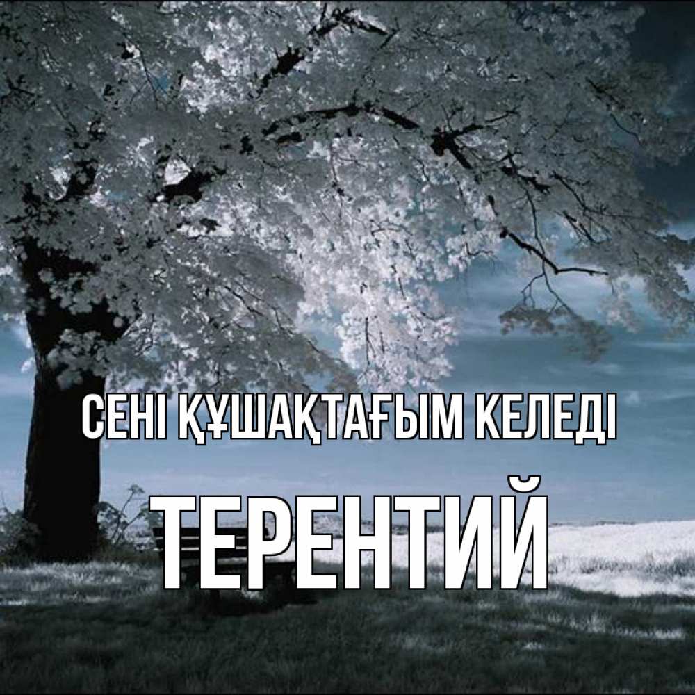 Күн сайын ашық хат с именем, Терентий сені құшақтағым келеді дерево Онлайн тегін жүктеп алу тілектері бар керемет карта 