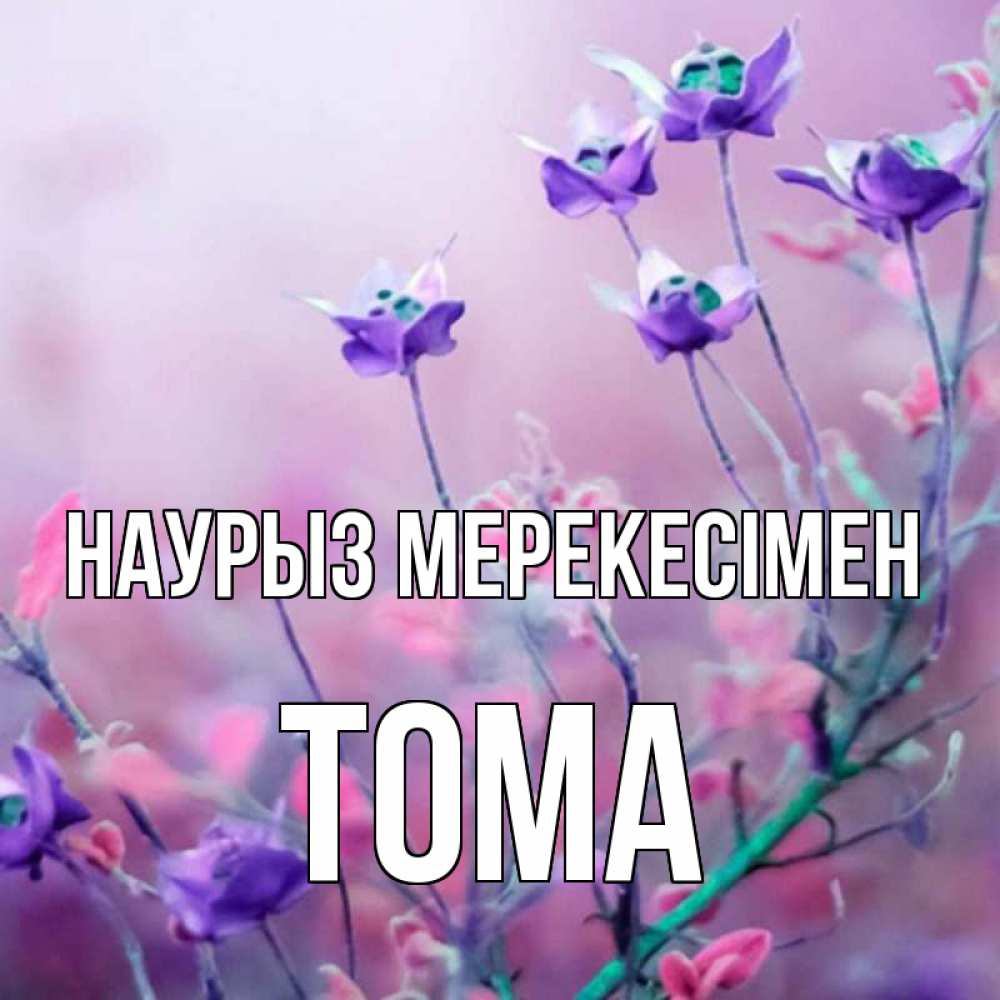 Күн сайын ашық хат с именем, Тома Наурыз мерекесімен международный женский день 2 Онлайн тегін жүктеп алу тілектері бар керемет карта 