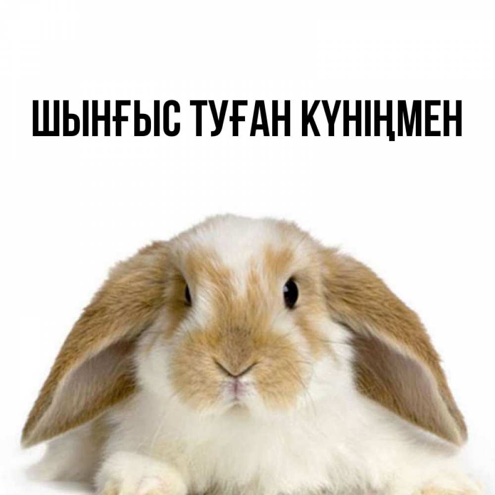Картинка  с именем , ШЫНҒЫС! ТУҒАН КҮНІҢМЕН!