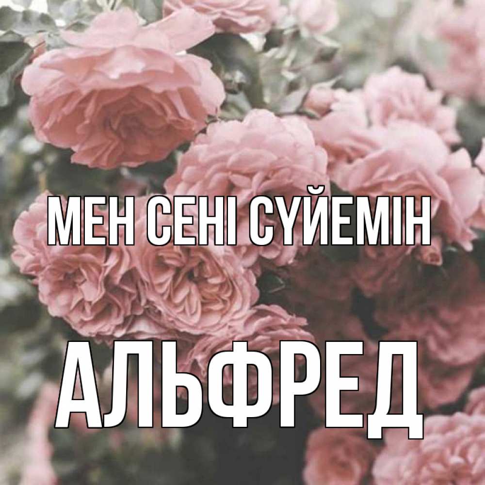 Күн сайын ашық хат с именем, Альфред Мен сені сүйемін розы 3 Онлайн тегін жүктеп алу тілектері бар керемет карта 