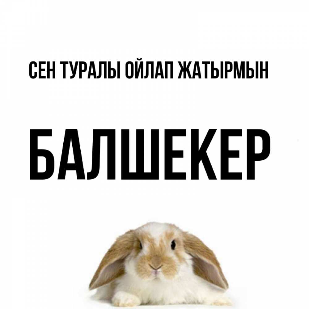 Күн сайын ашық хат с именем, БАЛШЕКЕР Сен туралы ойлап жатырмын подписать своими руками онлайн Онлайн тегін жүктеп алу тілектері бар керемет карта 