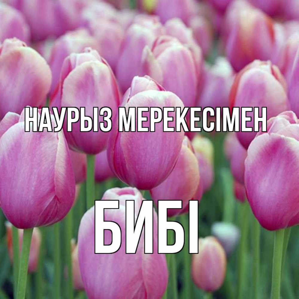 Күн сайын ашық хат с именем, БИБІ Наурыз мерекесімен праздник весны наурыз 69 Онлайн тегін жүктеп алу тілектері бар керемет карта 