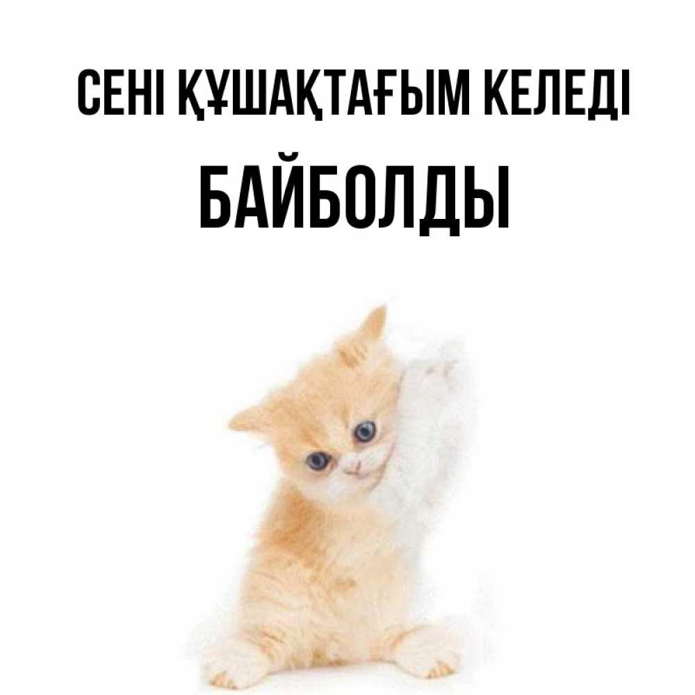 Күн сайын ашық хат с именем, Байболды сені құшақтағым келеді я хочу очень скорее обнимаешек Онлайн тегін жүктеп алу тілектері бар керемет карта 